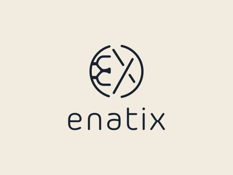 Charte graphique et Logo Enatix