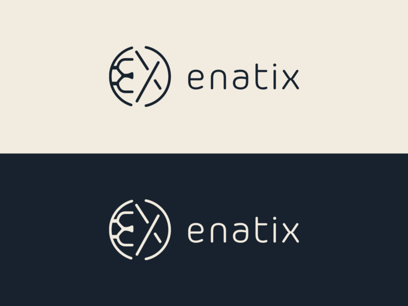 Charte graphique et Logo Enatix