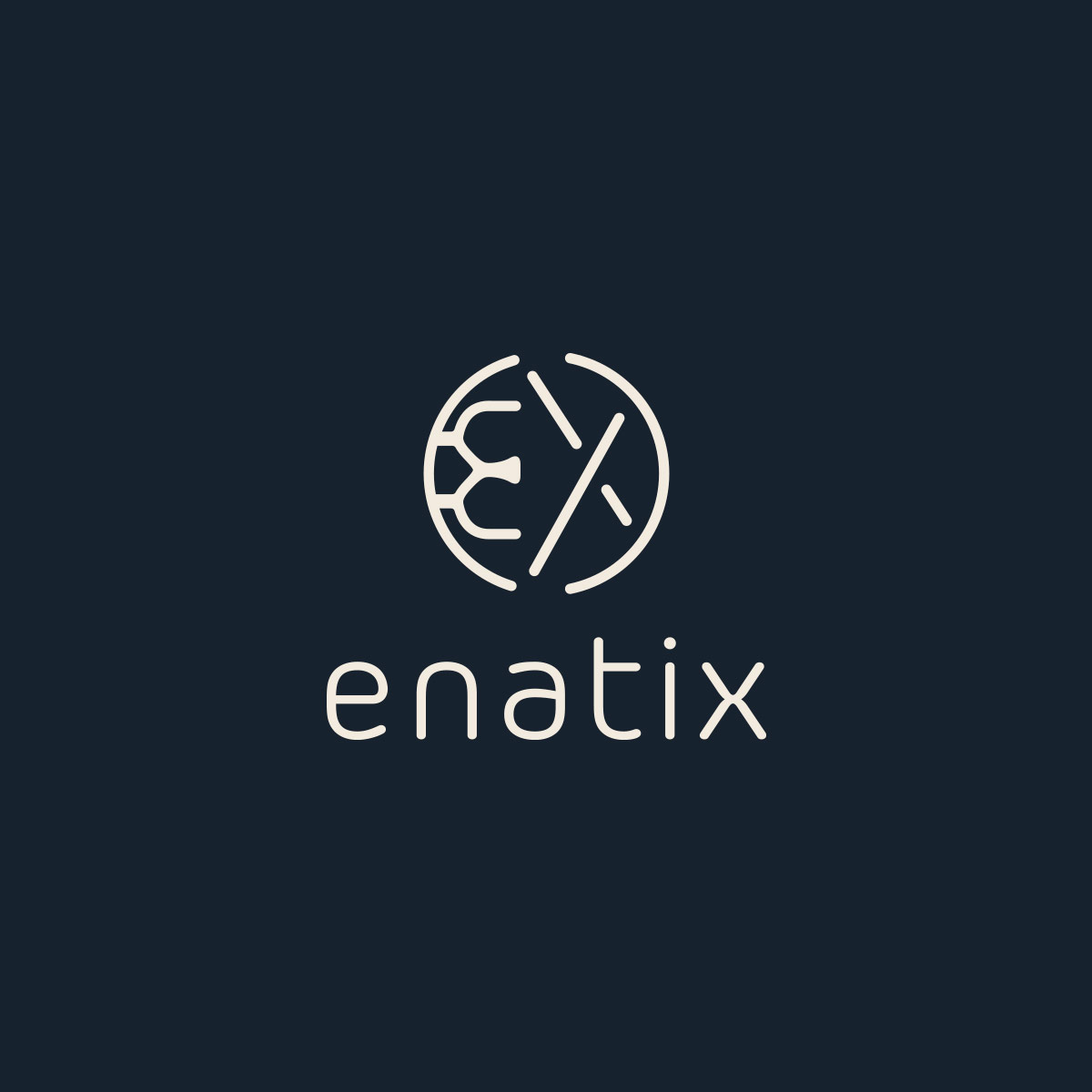 Charte graphique et Logo Enatix - Cover